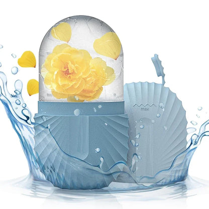 Cube De Glace Pour Visage