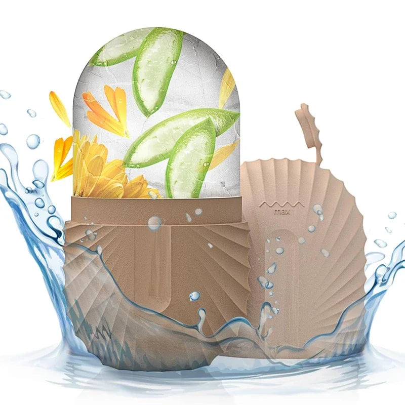 Cube De Glace Pour Visage